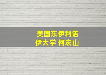 美国东伊利诺伊大学 何宏山